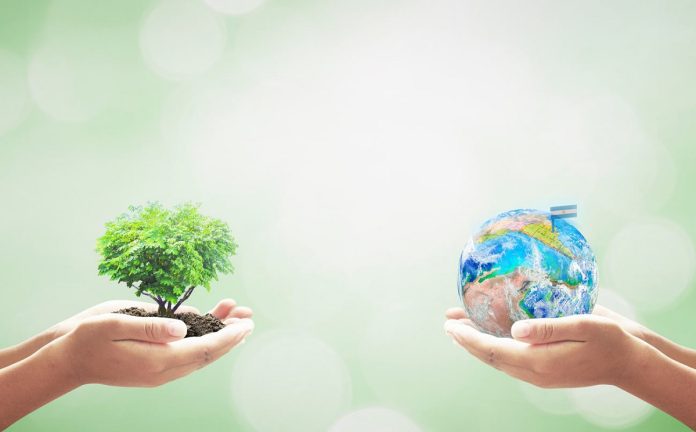 Bioeconomía, el nuevo paradigma para el desarrollo argentino –Apuntes sobre las ideas de Roberto Bisang